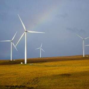 Sustainability in Manufacturing
